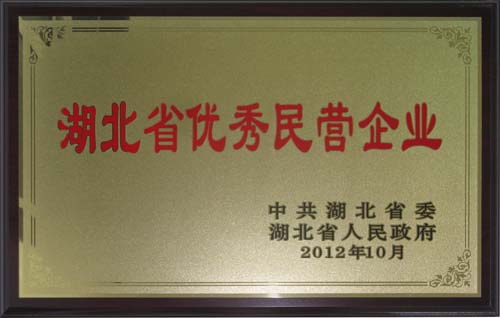2012年度湖北省優秀民營企業